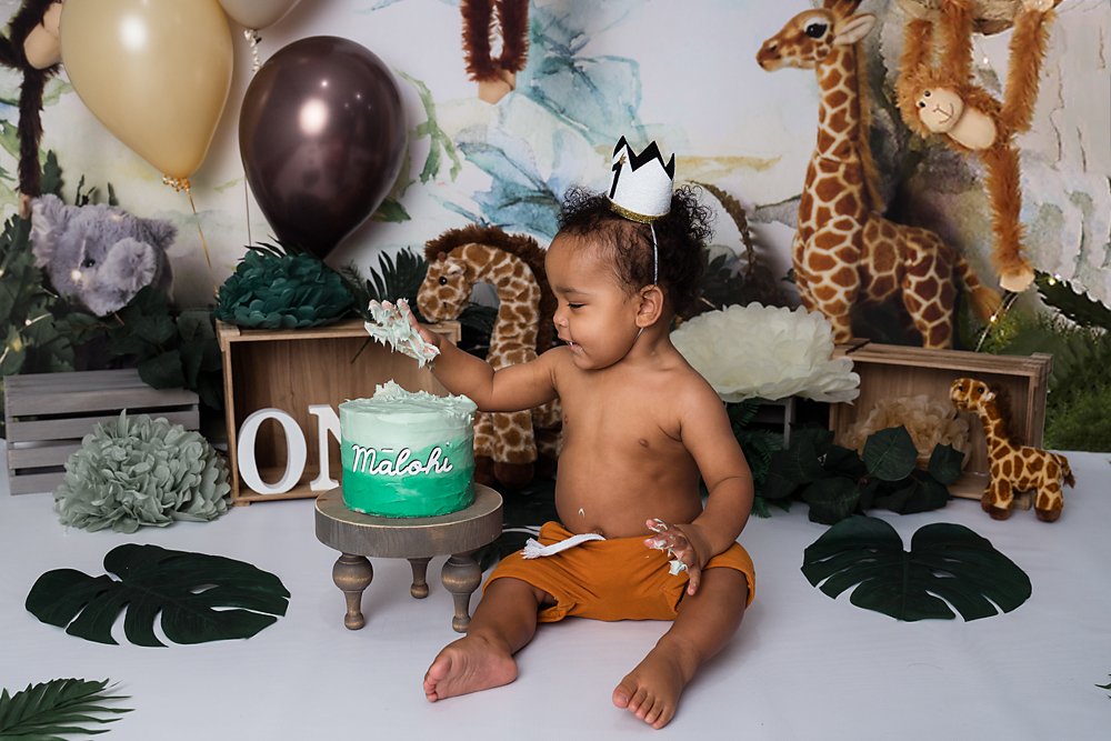 Little Boy 1st Birthday cake smash, jungle theme